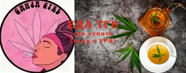 индика Алзамай