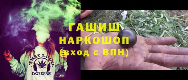 индика Алзамай