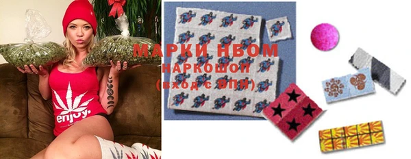 индика Алзамай